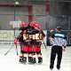 D70_3927 (2) (Mittel)
