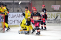D70_3937 (2) (Mittel)