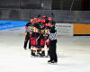 D70_3977 (2) (Mittel)