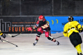 D70_3997 (2) (Mittel)