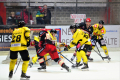 D70_4036 (2) (Mittel)