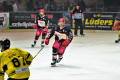 D70_4039 (2) (Mittel)