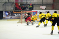 D70_4064 (2) (Mittel)