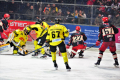 D70_4127 (2) (Mittel)