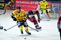 D70_4145 (3) (Mittel)