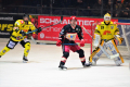 D70_4153 (2) (Mittel)