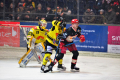 D70_4155 (2) (Mittel)