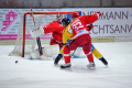 D70_2900 (2) - Kopie