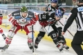 HC Innsbruck vs HCB Südtirol_08