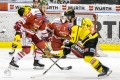HCB Südtirol vs Vienna Capitals_14