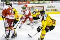 HCB Südtirol vs Vienna Capitals_17