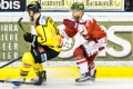 HCB Südtirol vs Vienna Capitals_19