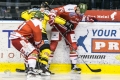 HCB Südtirol vs Vienna Capitals_22