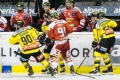 HCB Südtirol vs Vienna Capitals_25