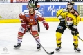 HCB Südtirol vs Vienna Capitals_33