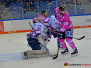 Krefeld Pinguine vs. Adler Mannheim 06-10-2019