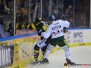 Krefeld Pinguine vs Augsburger Panther 17-11-2019