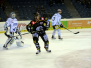 Krefeld Pinguine vs. Schwenninger Wild Wings 10-01-2016