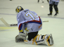 30.10.2015 Krefeld Pinguine vs. Schwenninger Wild Wings 