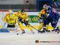 161118_Krefeld_HEI1615-E-Online