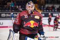 Danny aus den Birken (Torwart, EHC Red Bull Muenchen) in der Hauptrundenbegegnung der Deutschen Eishockey Liga zwischen dem EHC Red Bull München und den Augsburger Panthern am 18.01.2019.