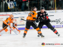 Thomas Sabo Ice Tigers vs Grizzlys Wolfsburg 19.01.218