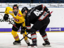 Thomas Sabo Ice Tigers vs Vienna Capitals 24.08.2018