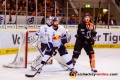 170415_Wolfsburg_HEI3350-E-Online